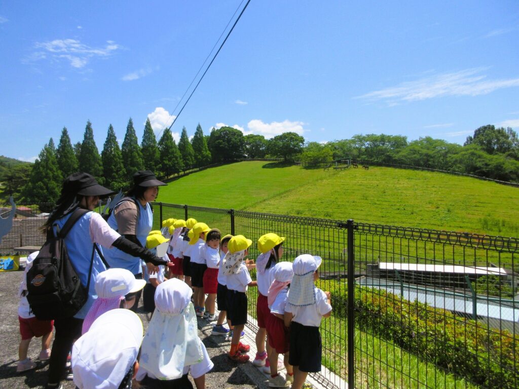 4 まふみ幼稚園のブログ