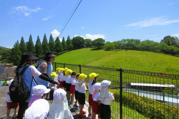 まふみ幼稚園のブログ
