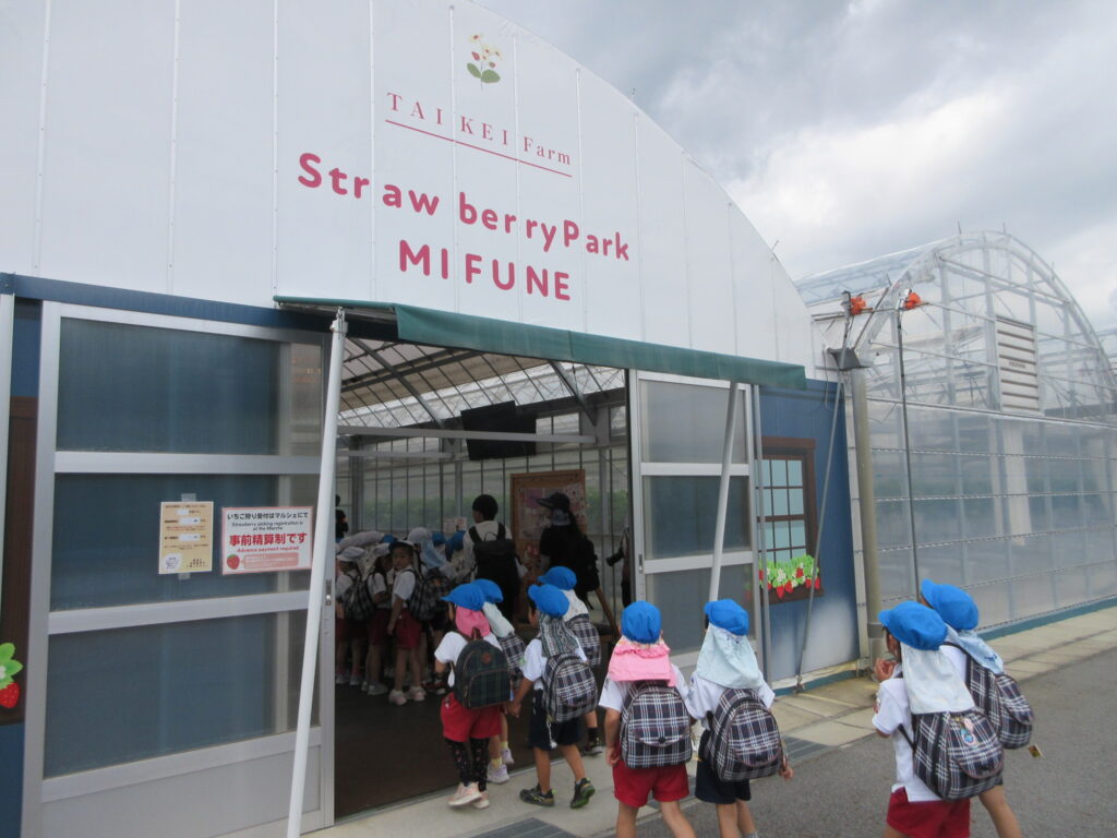 5 まふみ幼稚園のブログ
