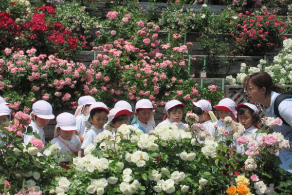 まふみ幼稚園のブログ