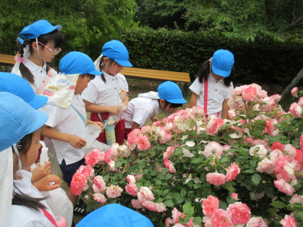 IMG_0978 まふみ幼稚園のブログ