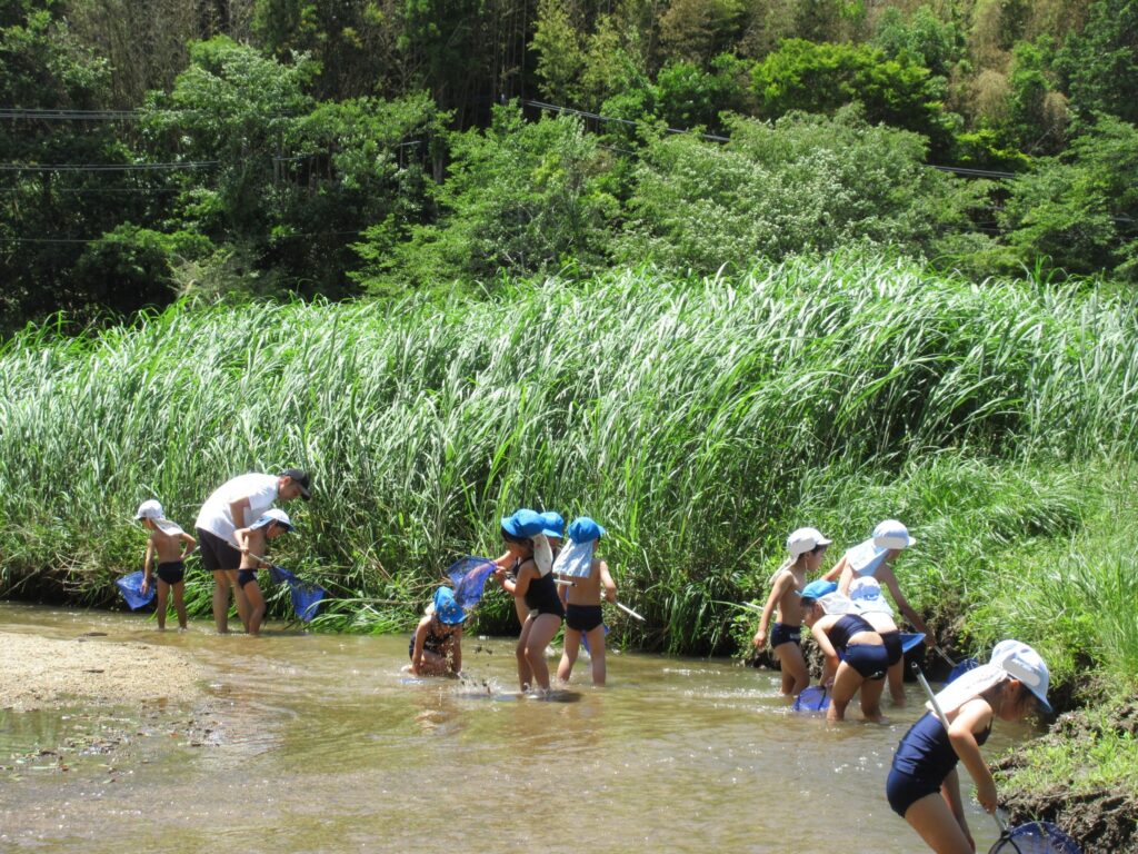 表紙 まふみ幼稚園のブログ