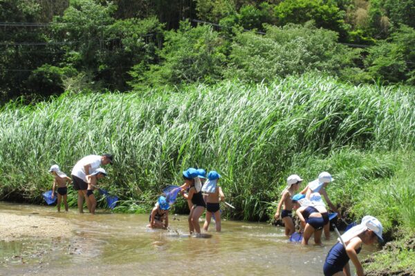 まふみ幼稚園のブログ