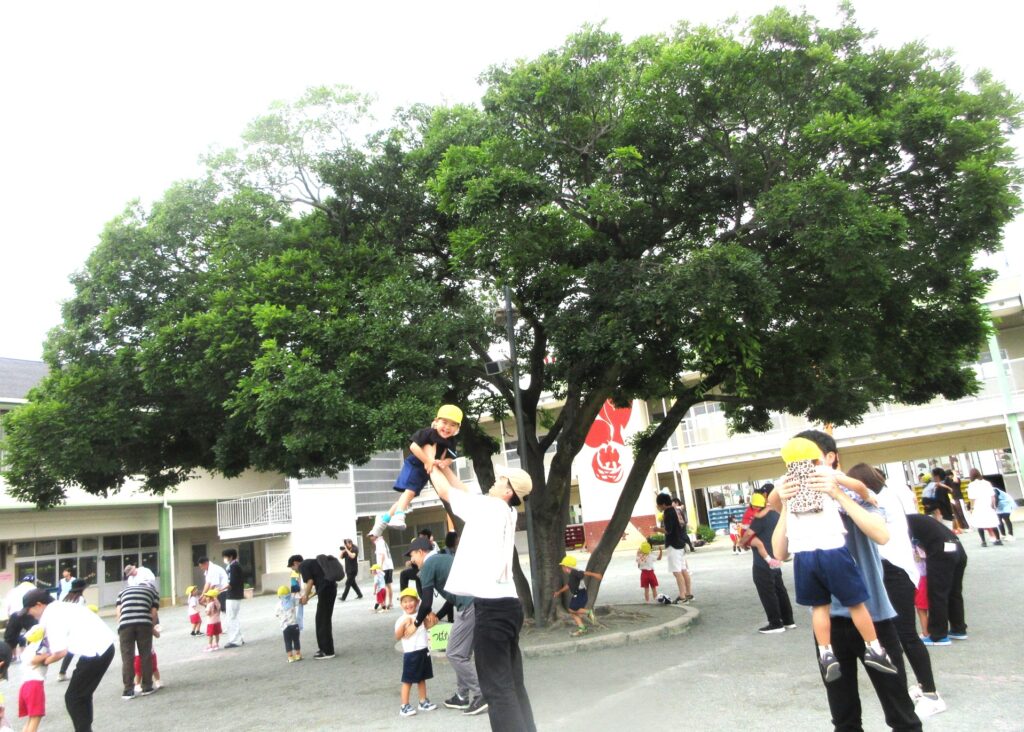 表紙1 まふみ幼稚園のブログ
