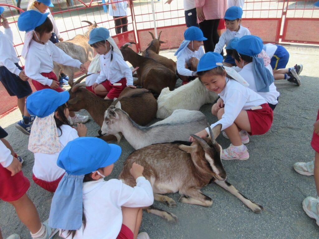 長1 まふみ幼稚園のブログ