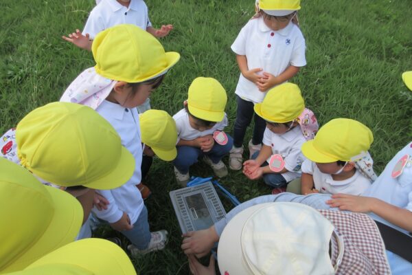 まふみ幼稚園のブログ